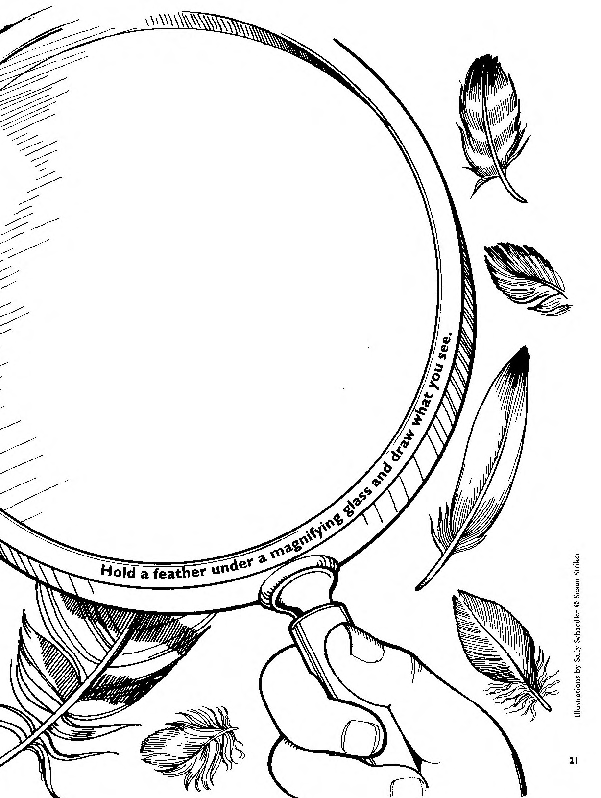 Nature's Wonders (Digital Only)